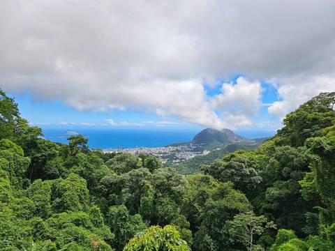 City view with lush green forest and ocean in the background.
