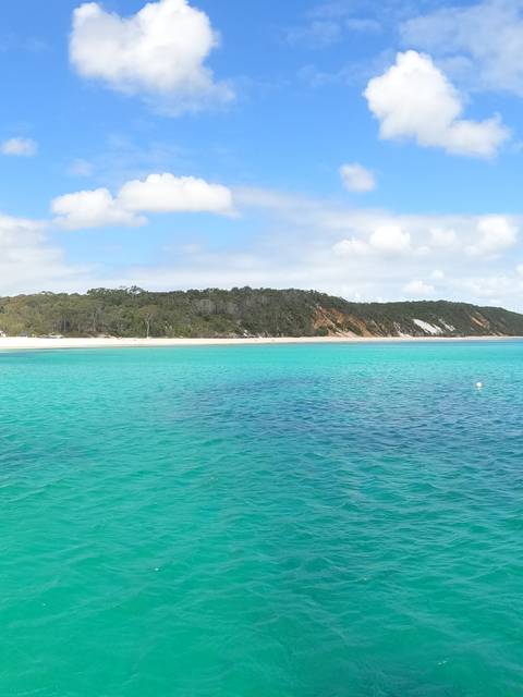 Turquoise ocean water with a sandy beach and lush forest in the background.