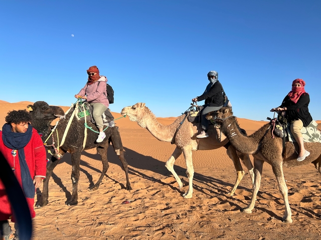Camel riders in the desert on a sunny day.