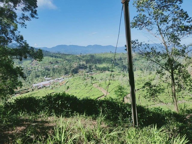 Scenic view of green hills and distant mountains.