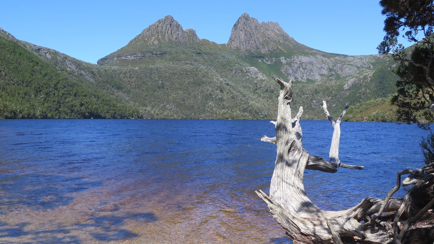 Mountain and lake view with a tree stump in the foreground.