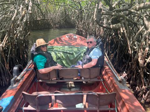 A couple in a small boat navigating through dense mangrove trees.