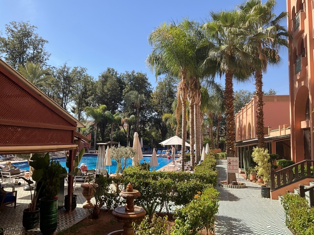Lush hotel pool area with palm trees and sun loungers.
