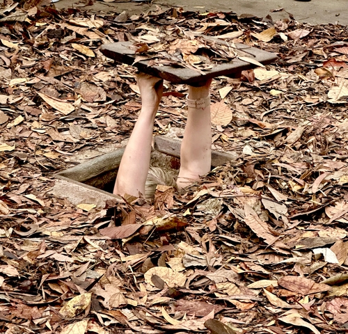 Person emerging from a narrow tunnel in the forest floor.