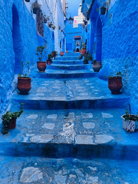 Blue alleyway with stairs and potted plants.