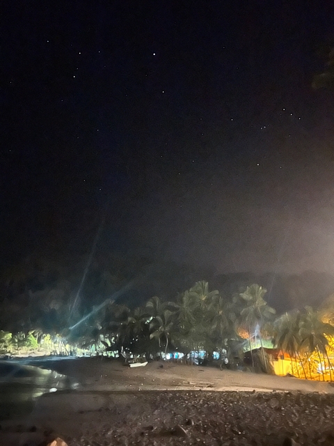 A night sky with stars and some palm trees visible.