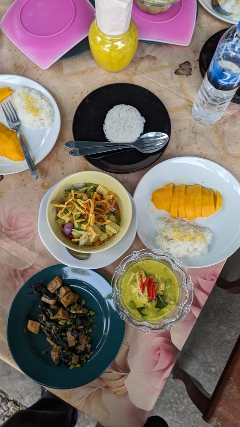 Thai food dishes featuring mango sticky rice and curry.