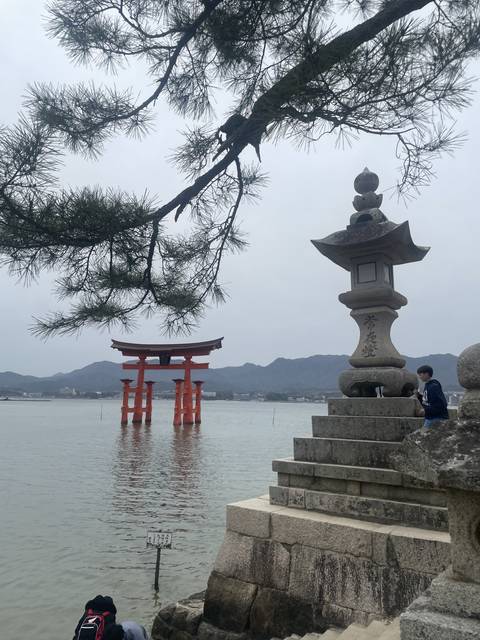 A stone torii gate in the water near a stone lantern and stairs.