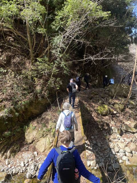 Group of hikers walking down a forest trail.