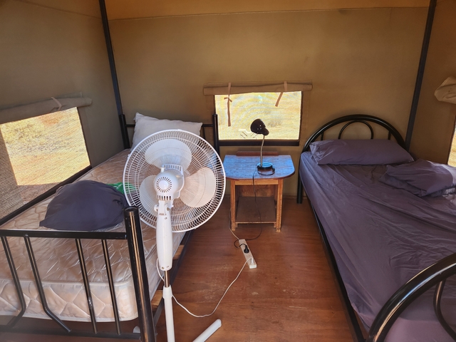 Interior of a tent with beds and a fan.