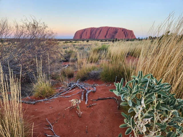Uluru (Ayers Rock) in the distance with red desert foreground.