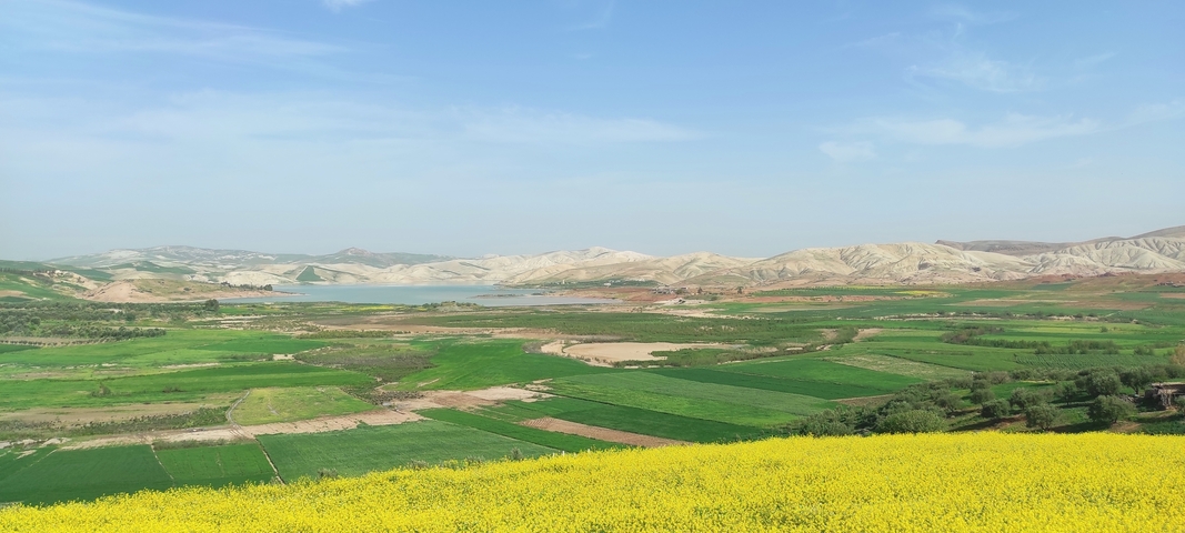 Wide landscape with fields, hills, and a body of water in the distance.