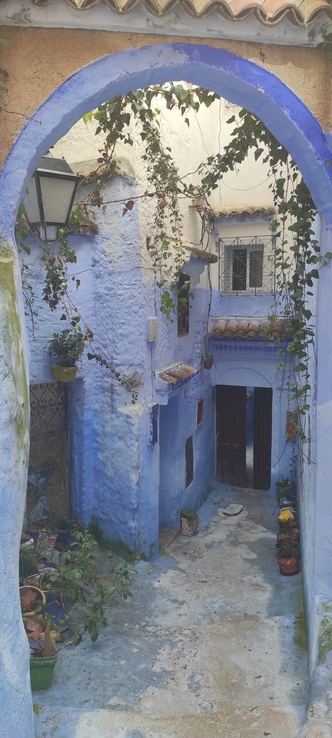 Blue walls and alley with plants in traditional style.