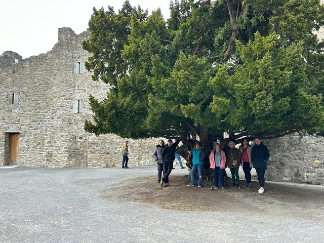 People standing under a large tree near old stone buildings.