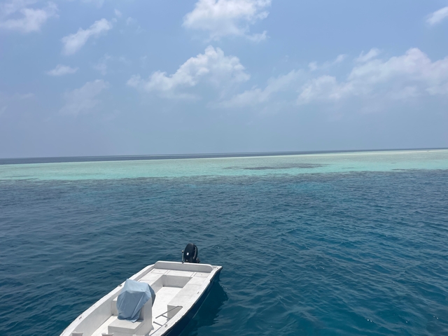 Expansive ocean with a boat and coral reefs visible.