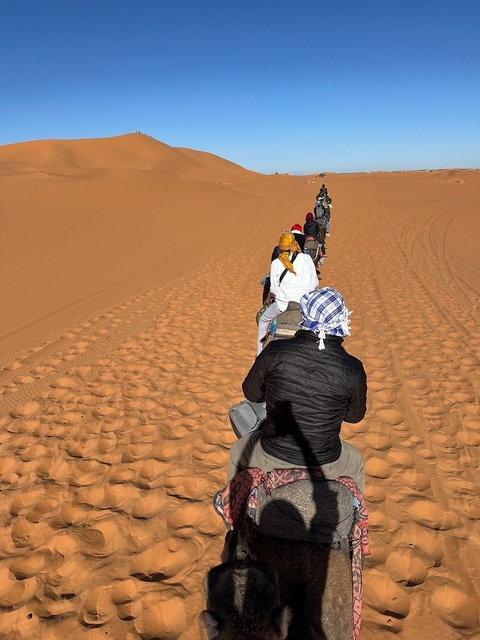 People riding camels on sand dunes.
