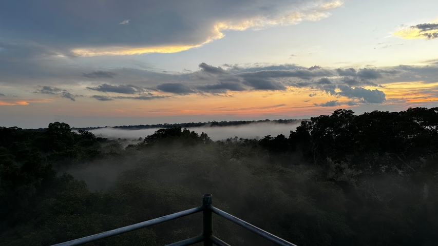 Sunset view over a misty forest