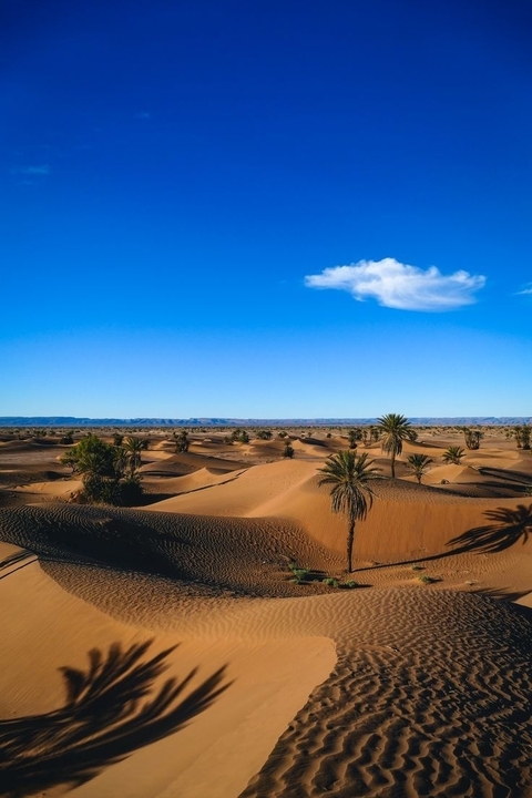 12-DAYS TOUR: GRAND TOUR IN MOROCCO DEPARTING FROM CASABLANCA customer review photo