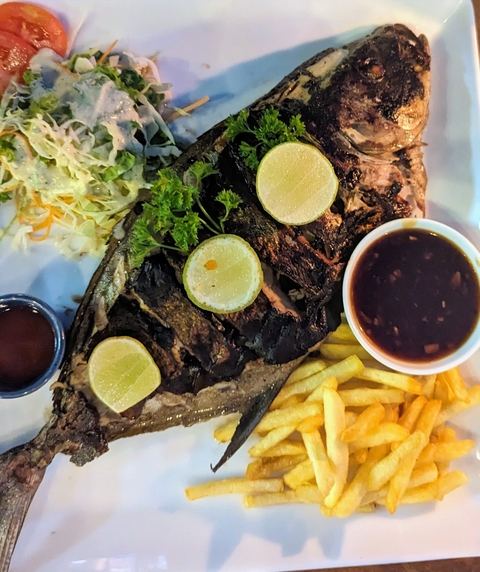 Plate of grilled fish with lime and sauces.