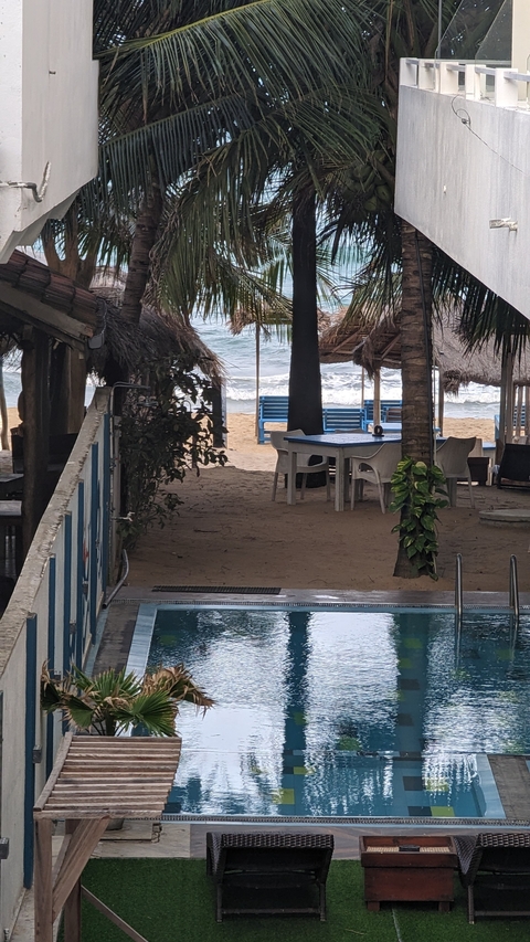 Beach view with tables and chairs under palm trees.