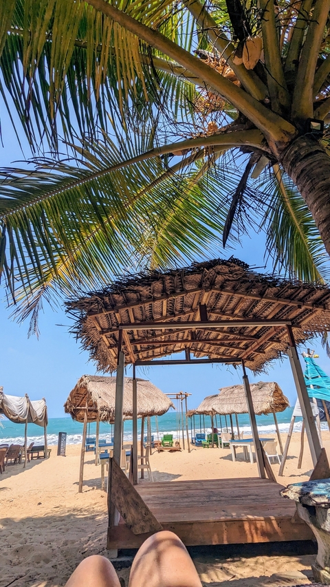 View of a palm thatch roof with clear blue sky.