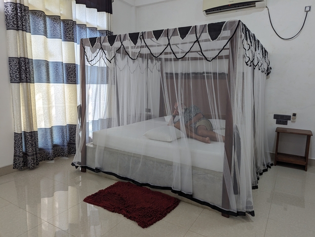 Person lying on a bed with a mosquito net in a room.