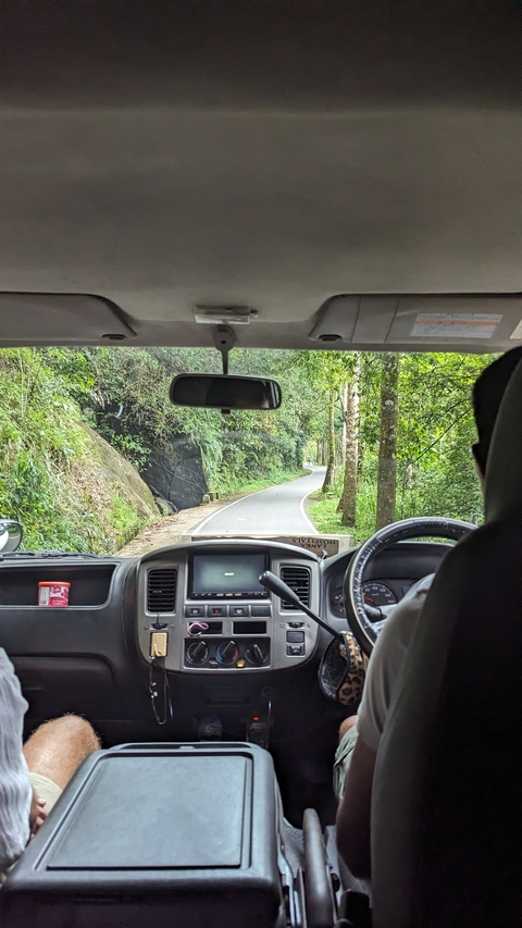 View from a vehicle traveling through a lush forest area.