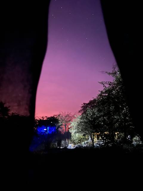 Night sky with trees and faint lights.