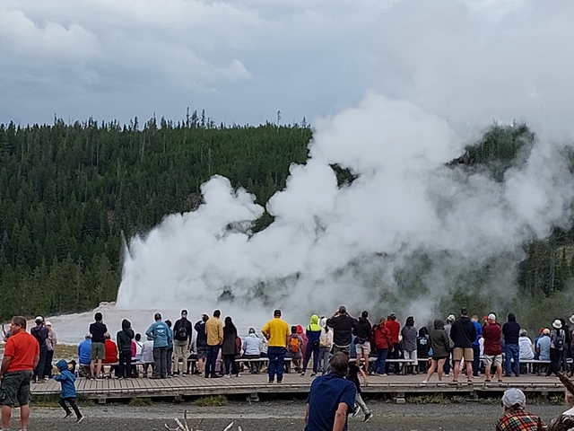 Crowd watching a geyser erupt at Yellowstone National Park.