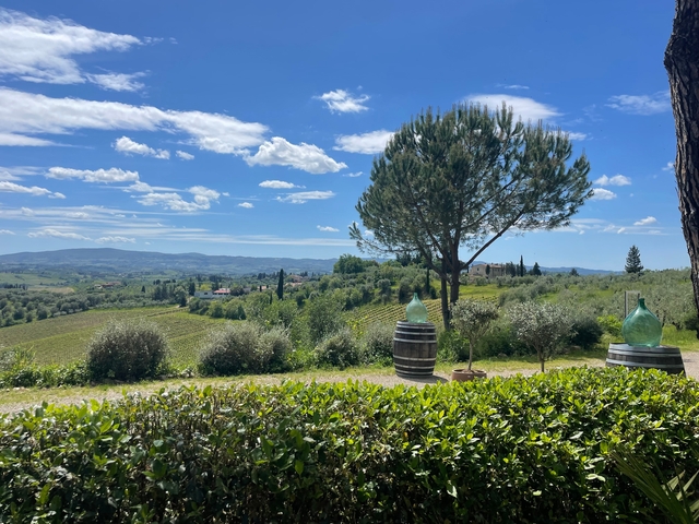Scenic view of vineyards and landscape with a clear blue sky.