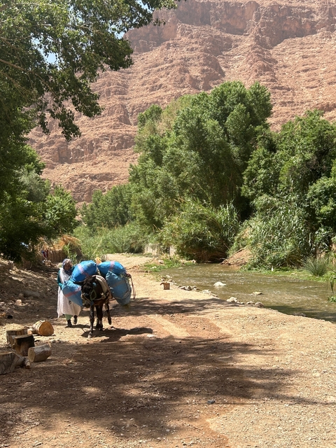 Man leading a donkey with goods near a stream in a lush area.