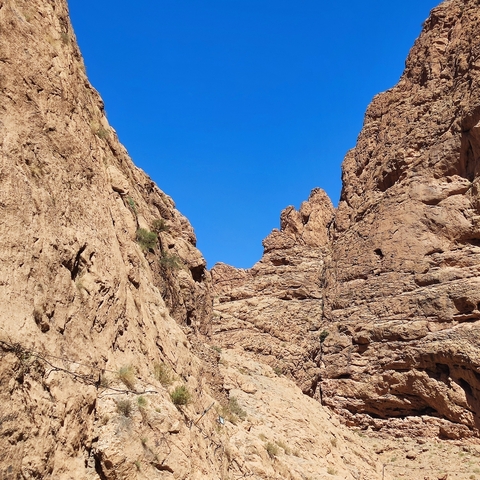 Rocky desert canyon with a clear blue sky.