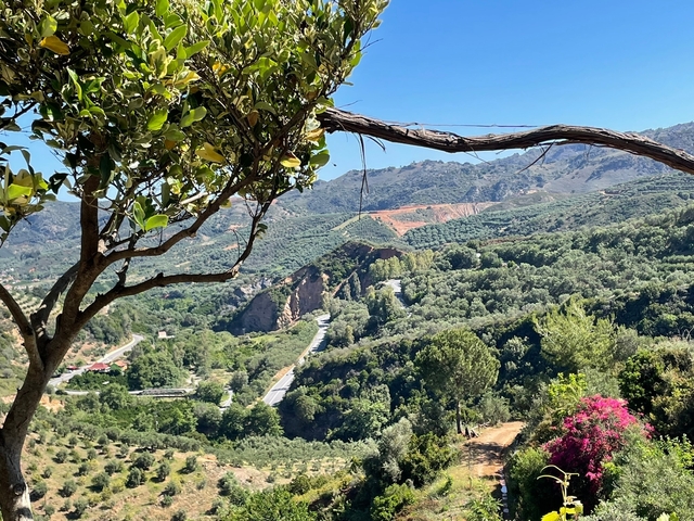 Scenic view of a lush green valley with mountains in the distance.