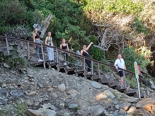 Tourists climbing wooden steps amid a natural setting.