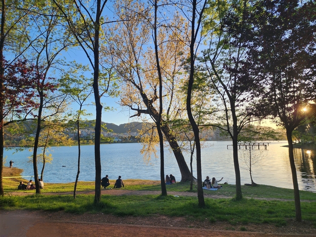 People sitting by a lake surrounded by trees.