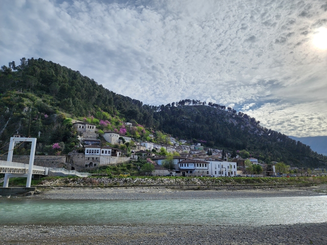Scenic hillside town with trees in bloom.