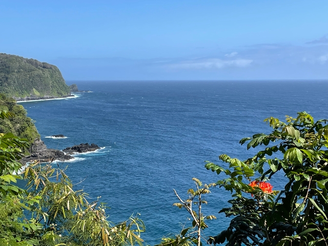 Coastal landscape with blue ocean and lush green cliffs.