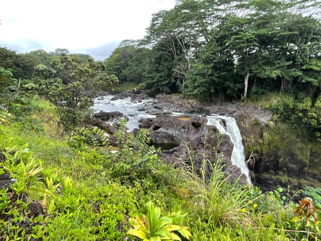 Forest river with small waterfall surrounded by greenery.