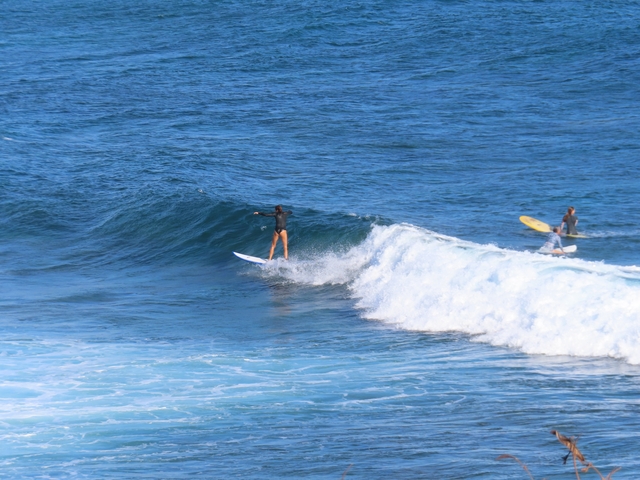 Surfers catching waves on a sunny day.