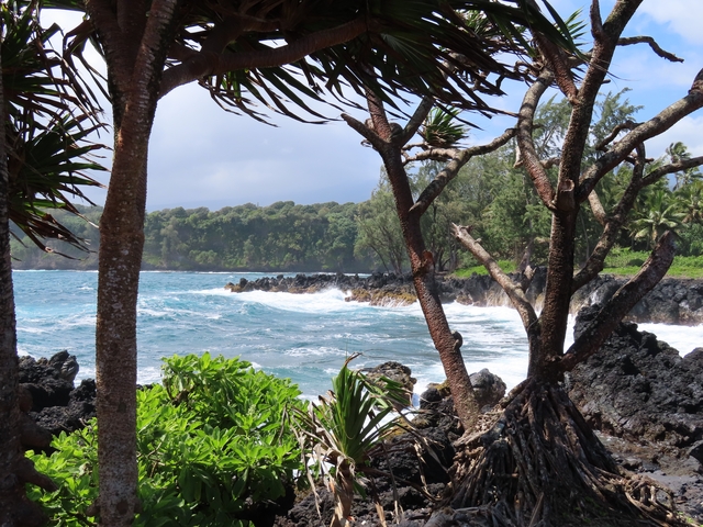 Rocky coastline with lush vegetation and waves.