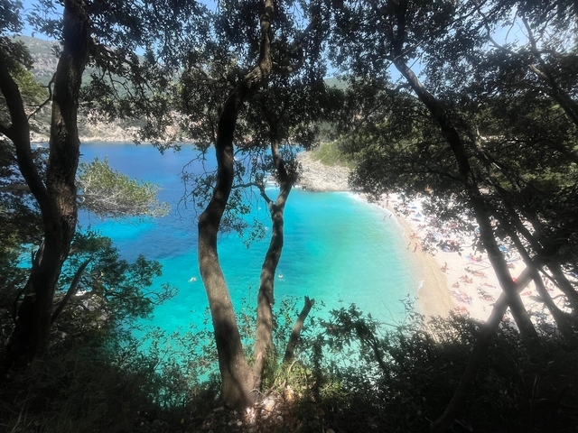 View through trees of a turquoise beach with people.