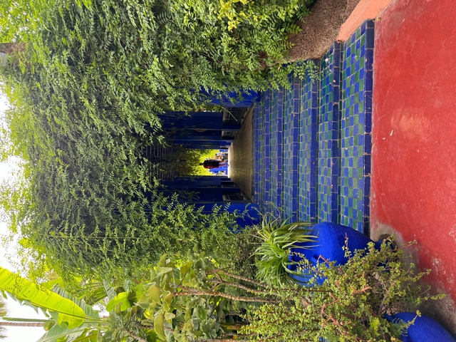 Pathway with lush greenery and blue accents.