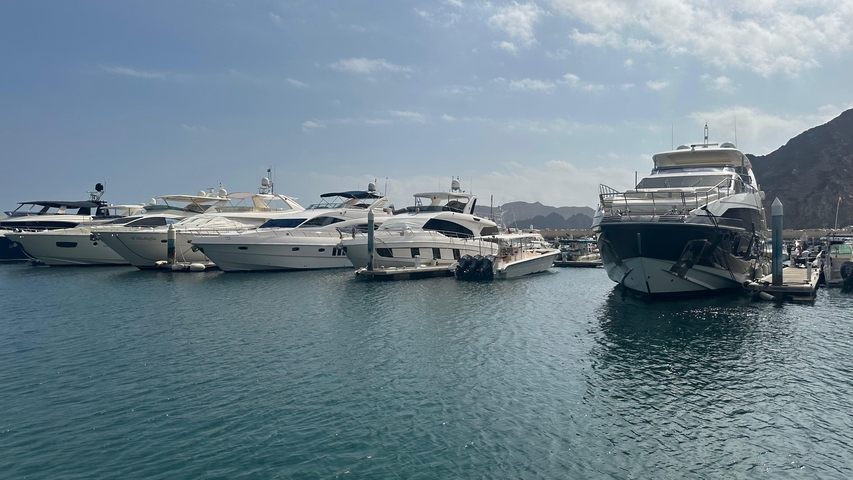 Yachts docked at a harbor with mountains in the background.