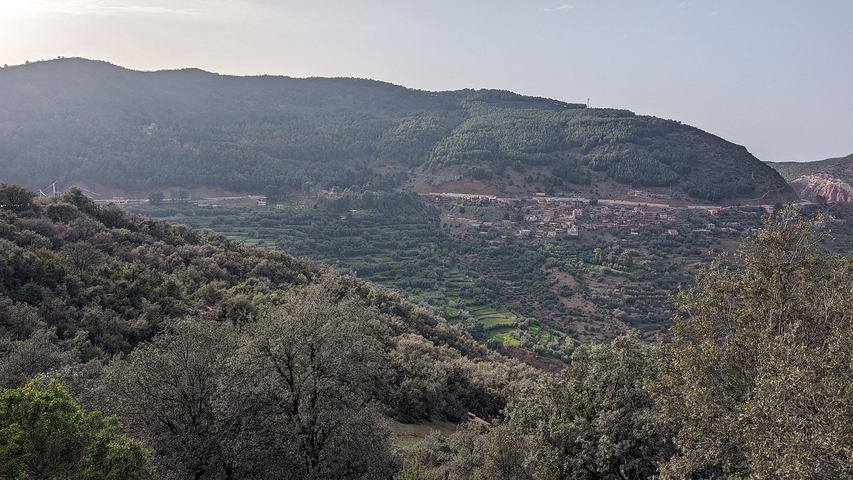 Hilly landscape with trees and a distant village.