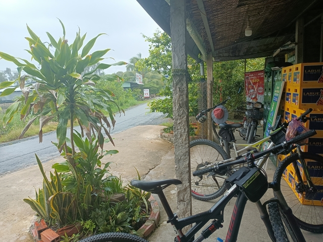 Bikes parked next to a roadside stall.