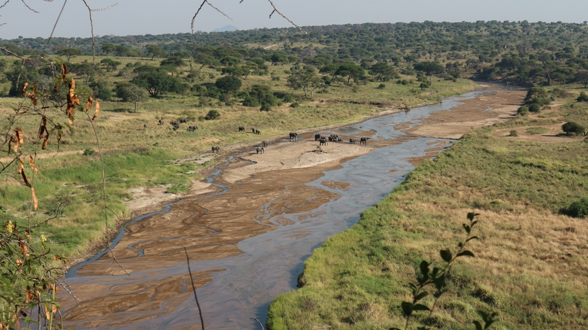 A river flowing through a scenic landscape with elephants visible in the distance.