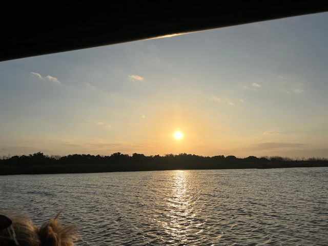Sunset view over a river with visible trees.
