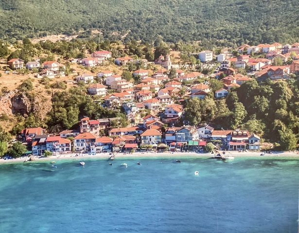 Aerial view of a coastal village with red-roofed houses.