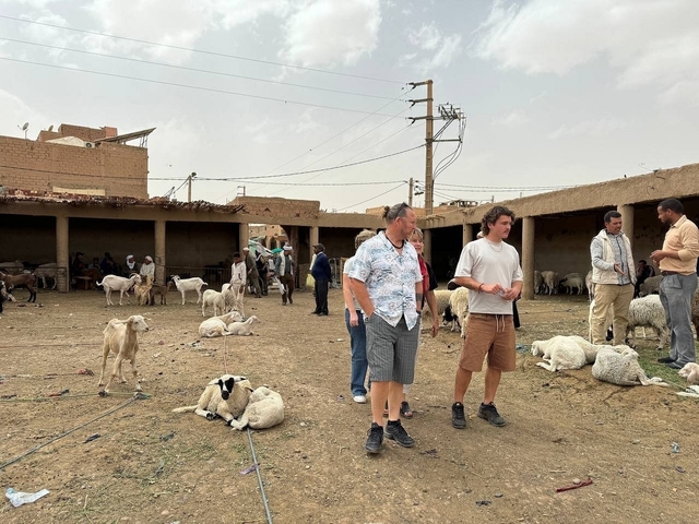 People at a market with sheep and goats