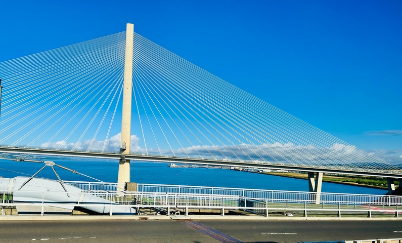Modern cable-stayed bridge crossing a body of water.